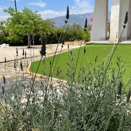 Casa Posidonia Holiday home *
